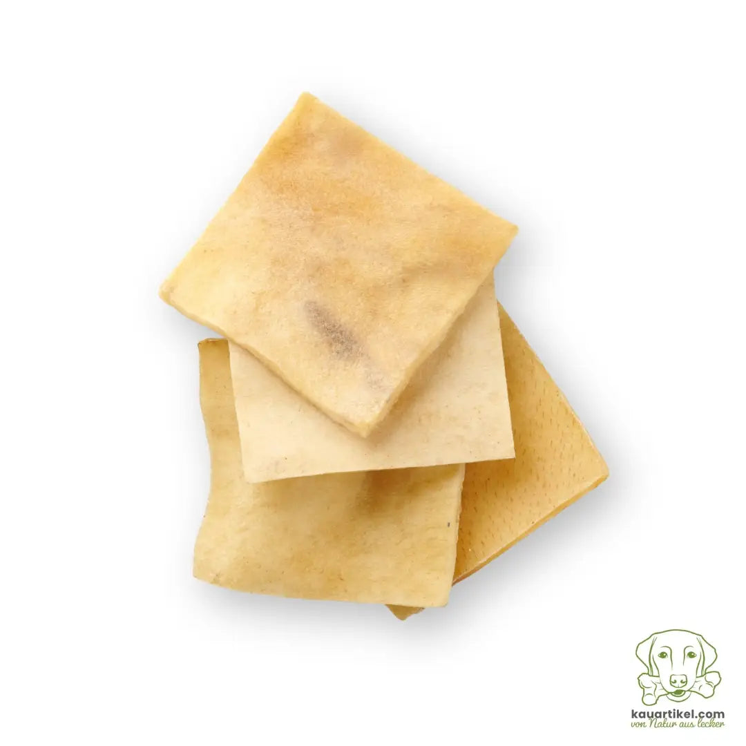 Quatre chips de bœuf Kauartikel vues du dessus sur fond blanc