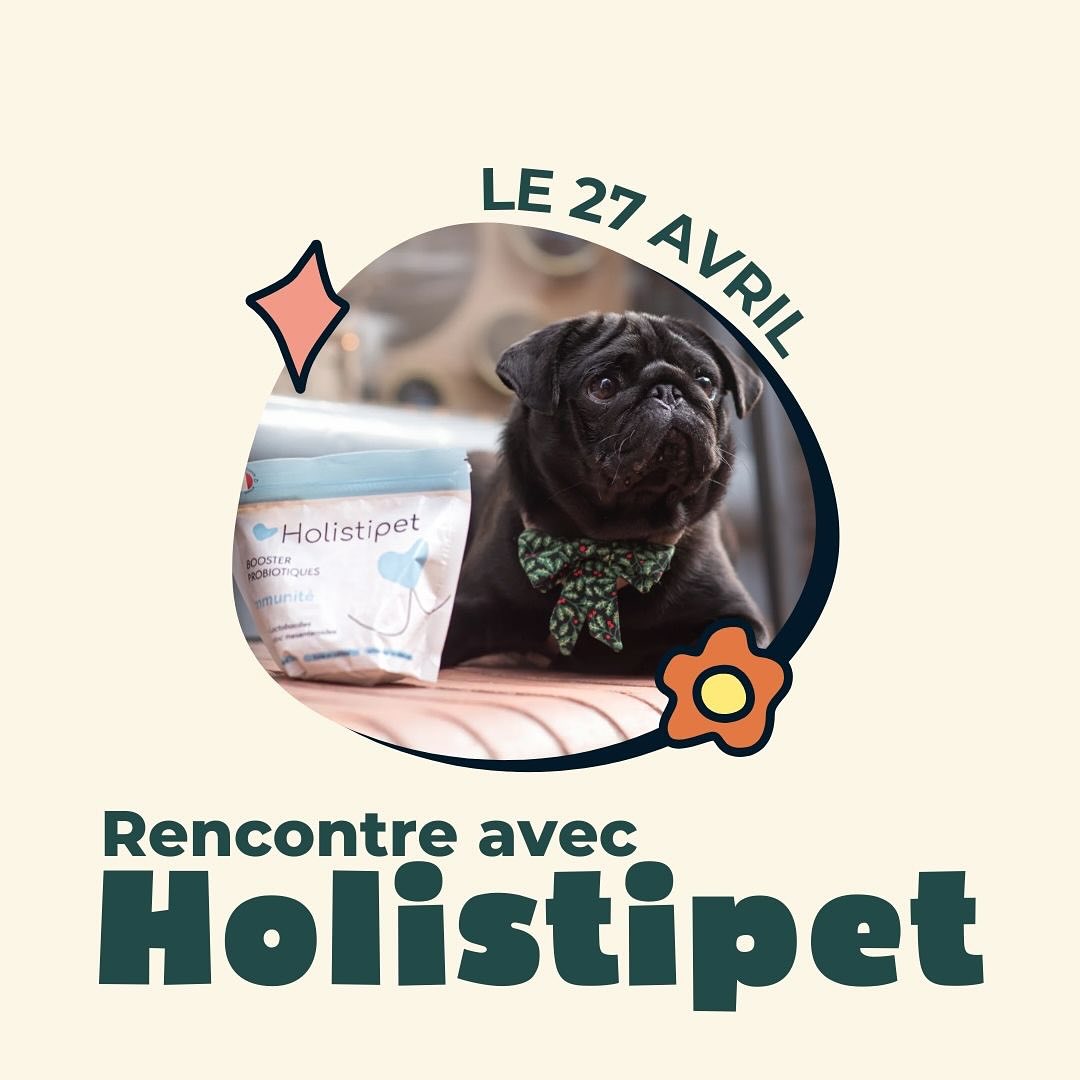 Special Days #2 - Diagnostic santé avec Holistipet - 27.04.2024-Muzon