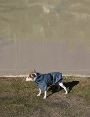 Imperméable pour chien bleu nordique Tadazhi, vue 2