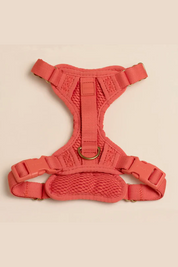 Comfortable Harness - Spice