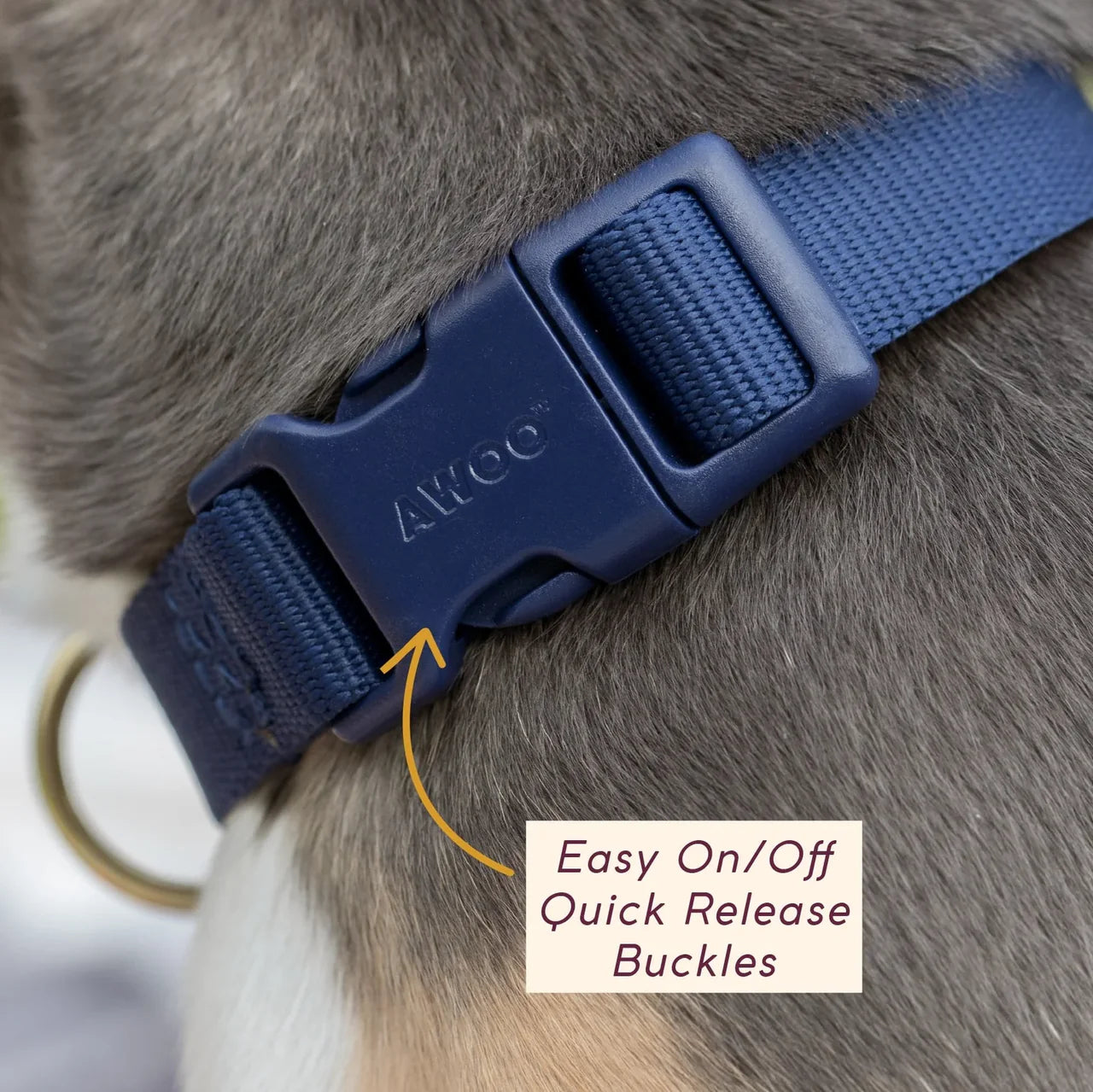 Collier pour chien - Mocha