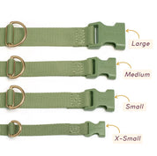 Collier pour chien - Mocha