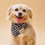 Bandana pour chien - Black & White