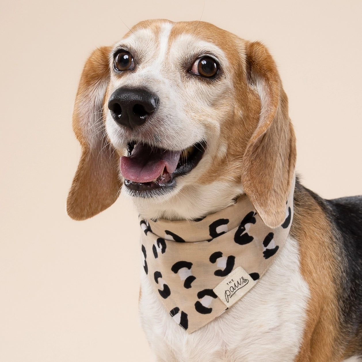 Bandana_The_Paws_Panthere_beige_2.webp