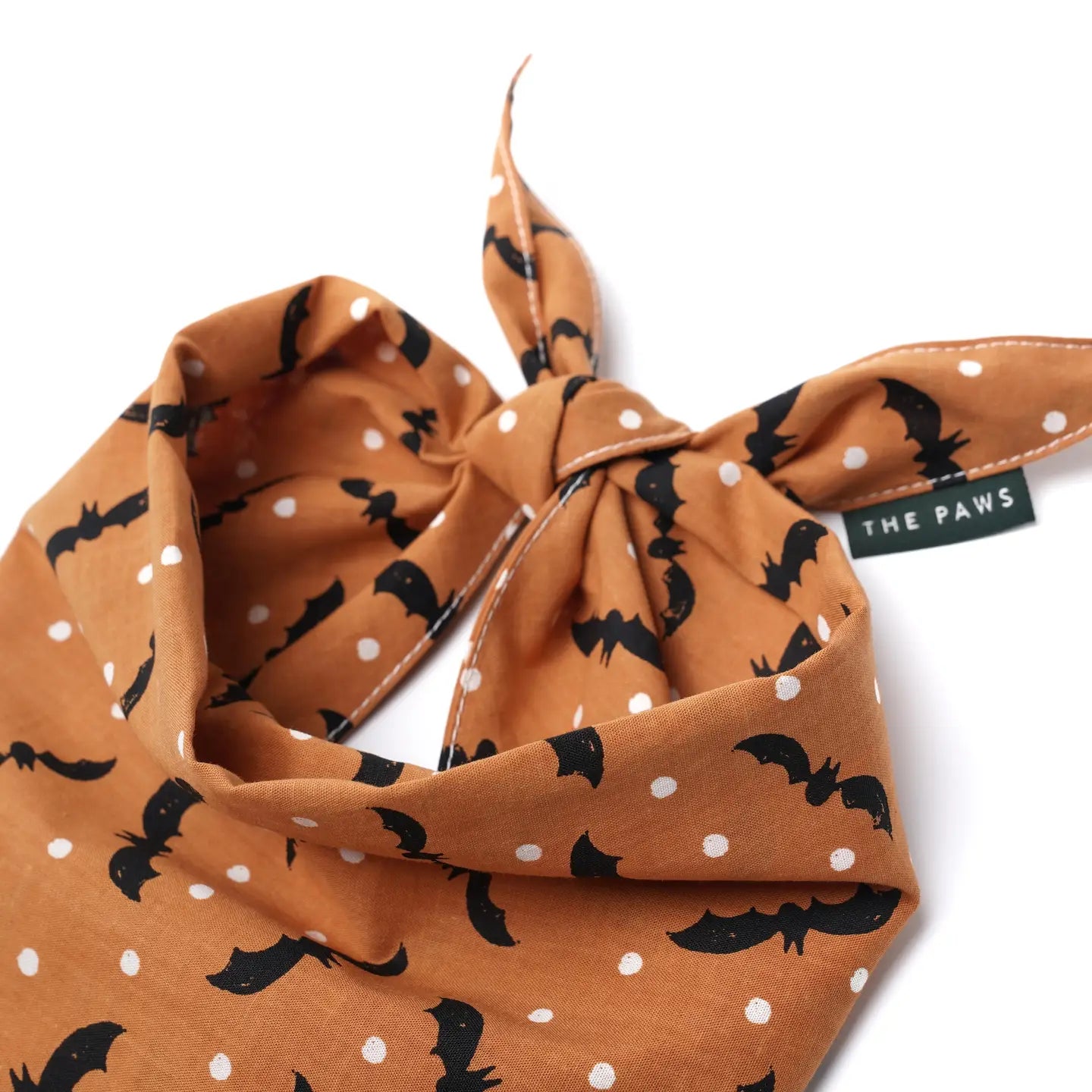 Bandanapourchien-Chauve-souris2_d2e654d7-74e7-48f1-ac0f-5b5a45b8af03.webp