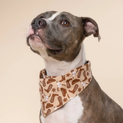 Bandana pour chien - Cowboy