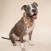 Bandana pour chien - Cowboy