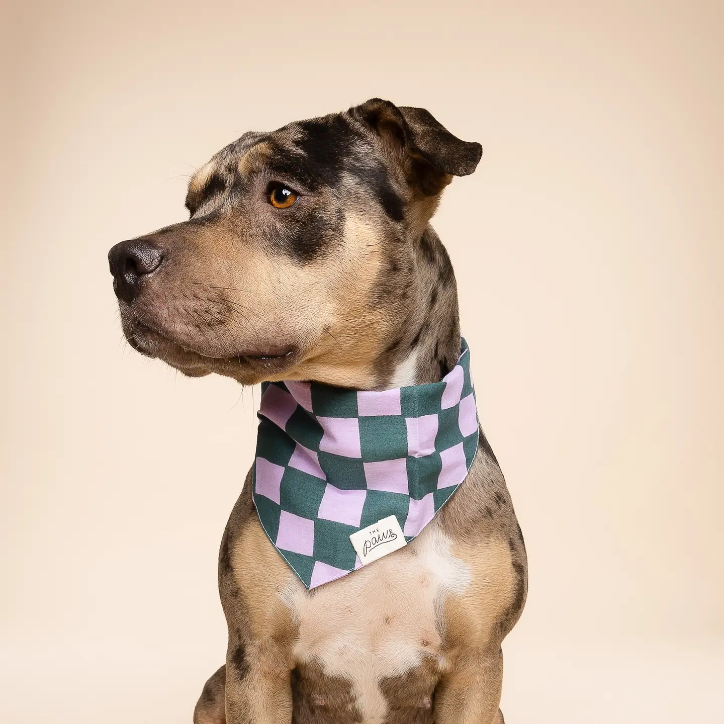 Bandana pour chien - Damier Brooklyn