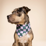 Bandana pour chien - Damier Brooklyn