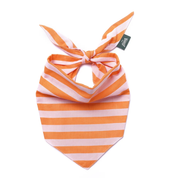 Bandana pour chien - Sorbet