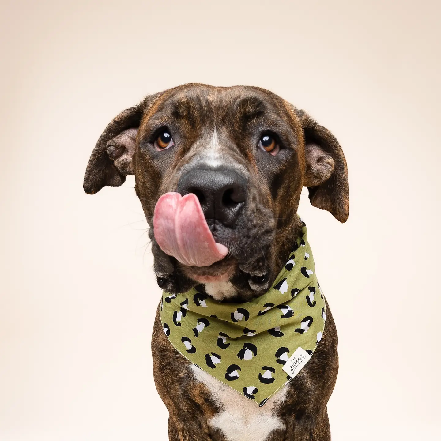 Bandana pour chien - Panthère kaki