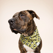 Bandana pour chien - Panthère kaki