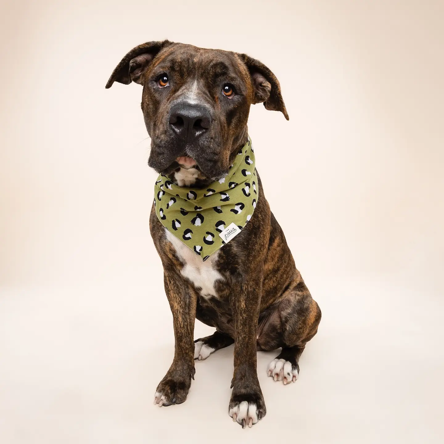 Bandana pour chien - Panthère kaki