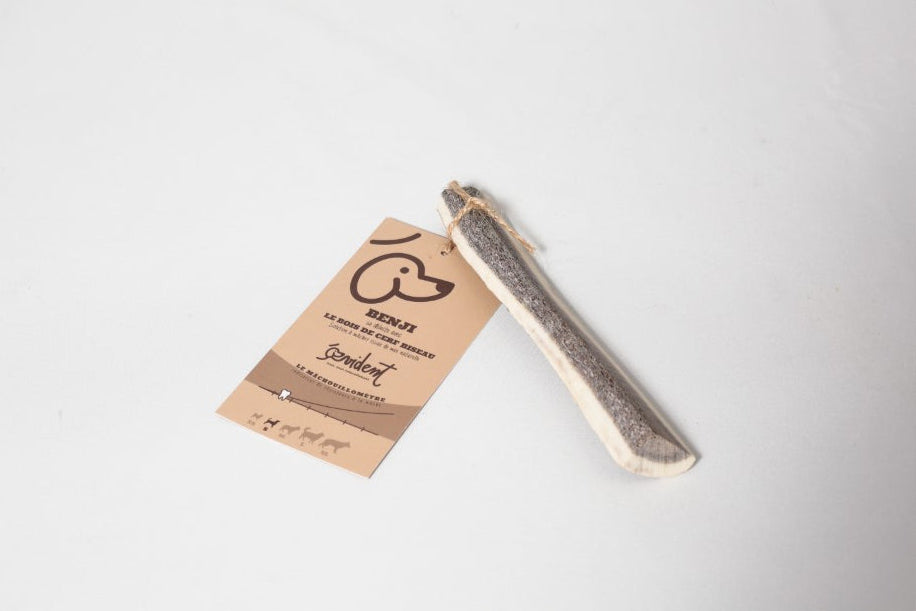Bois de cerf biseau - Mastication naturelle