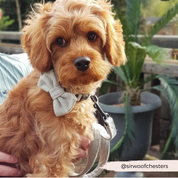 Noeud papillon en tweed - Beige