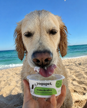 Glace pour chien et chat - Pomme, poire, kiwi
