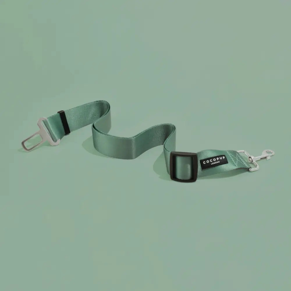 Ceinture de sécurité pour chien - Kaki