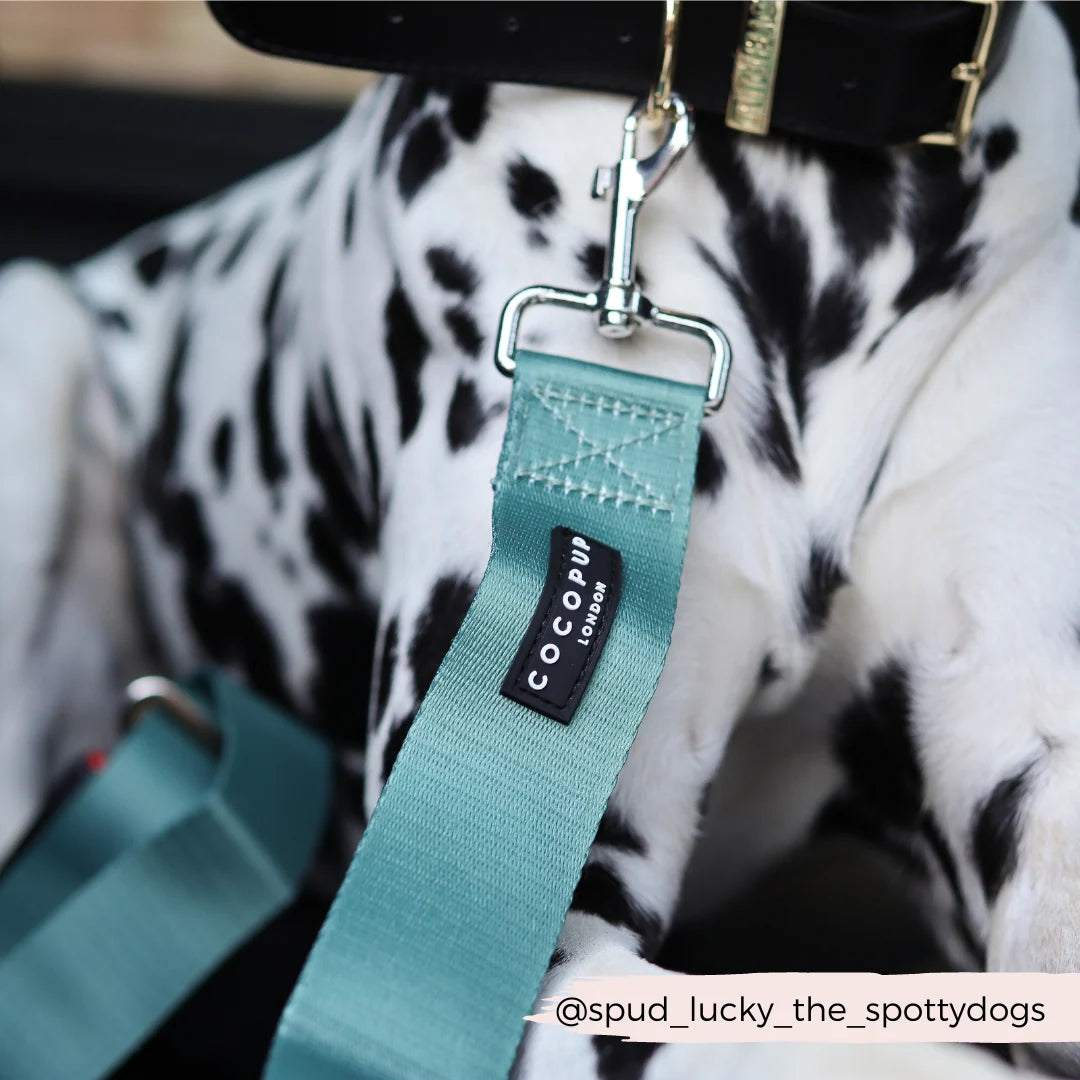 Ceinture de sécurité pour chien - Kaki