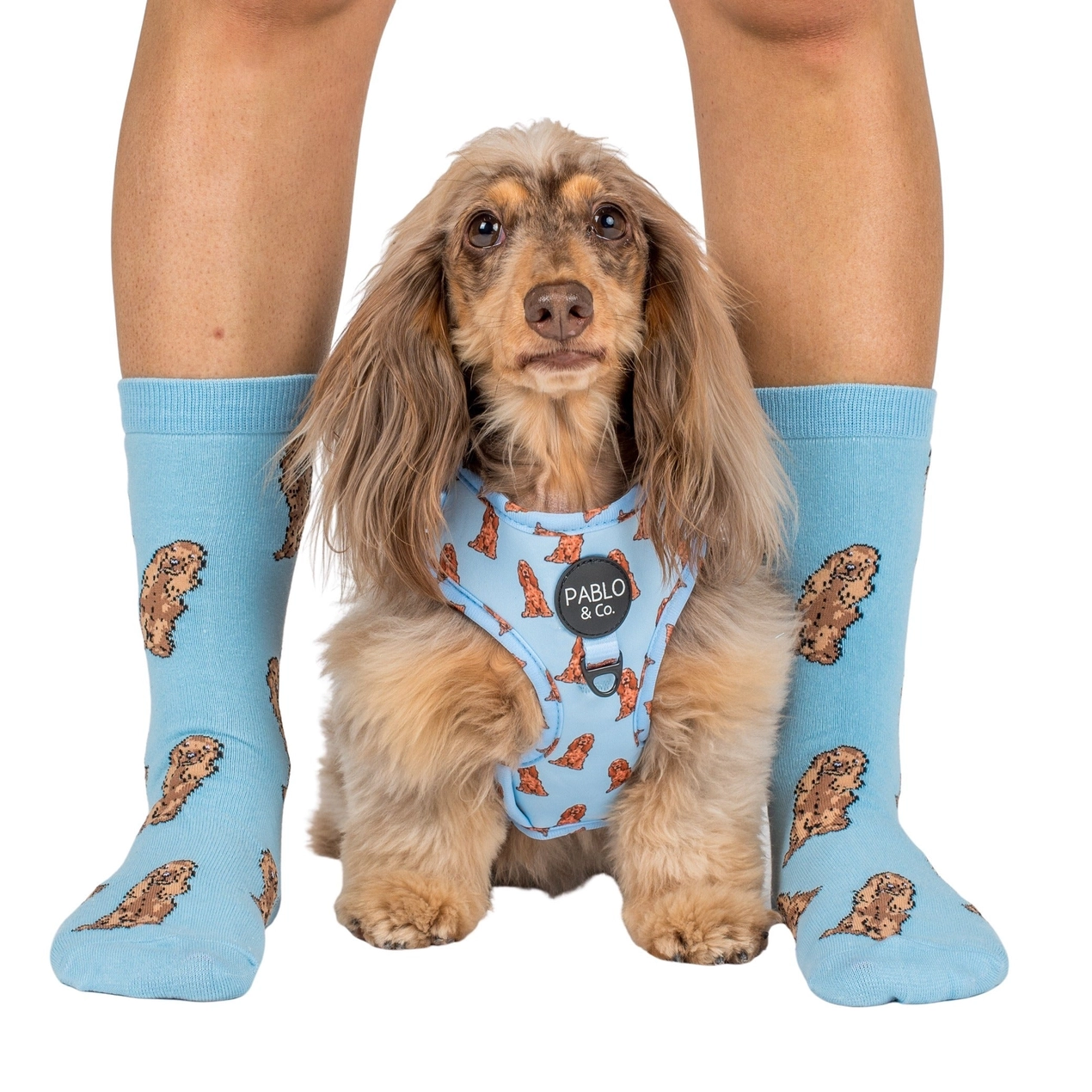 Chaussettes Dog Race - Cokers