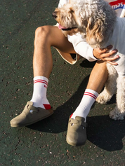 Chaussettes Dog Friendly - Rouge