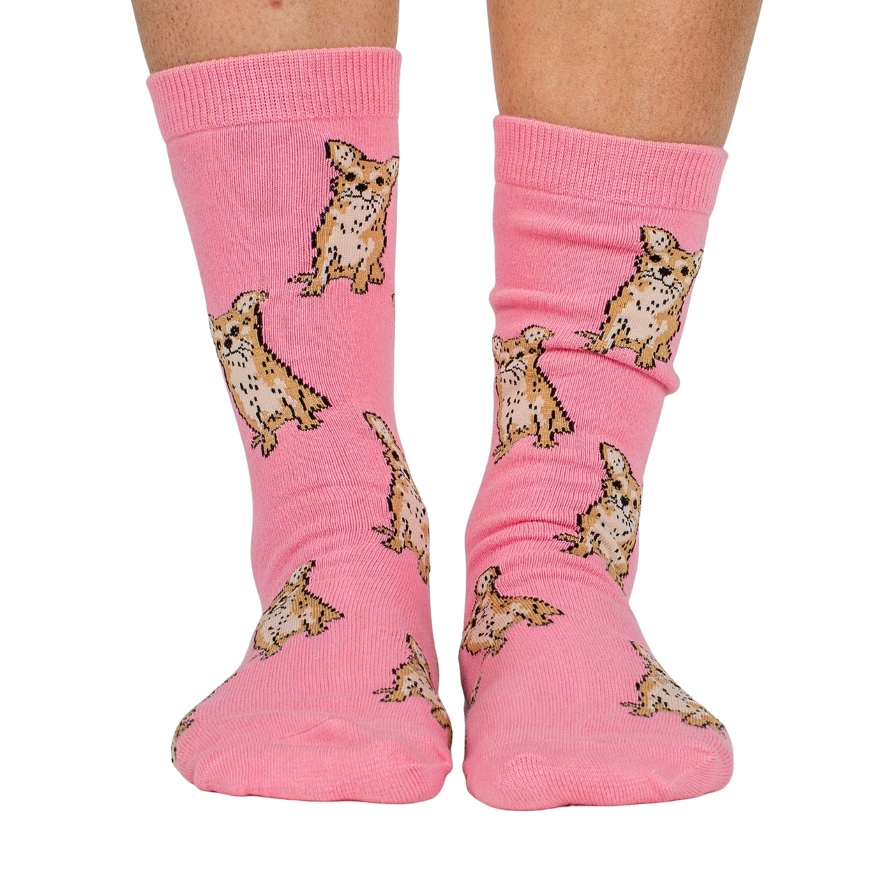Chaussettes_Chihuahua_-_Pablo_Co.png