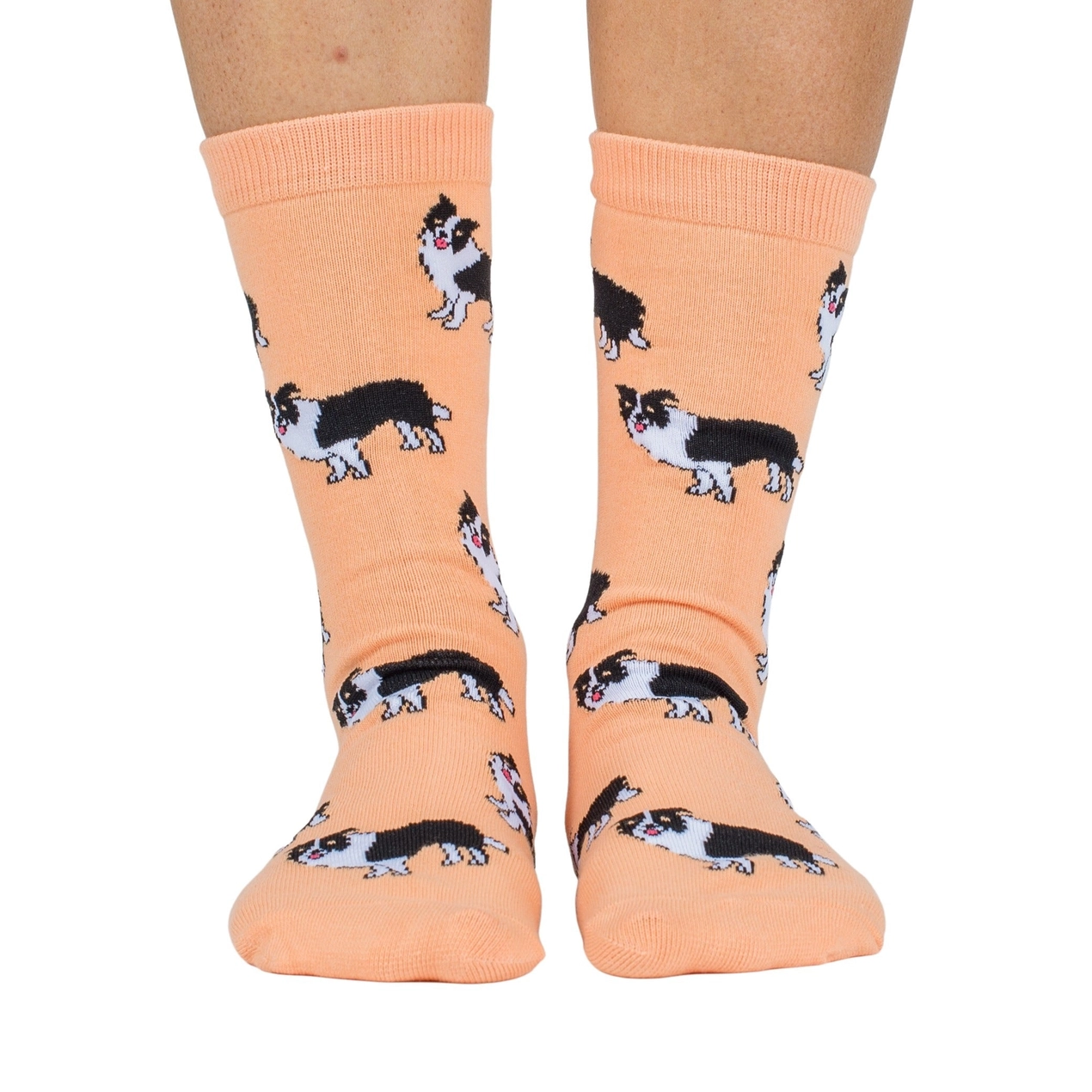 Chaussettes border collie - Pablo & Co