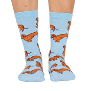 Chaussettes Dog Race - Teckels