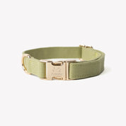 Collier - Vert