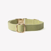 Collier - Vert
