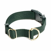 Collier pour chien - Sapin