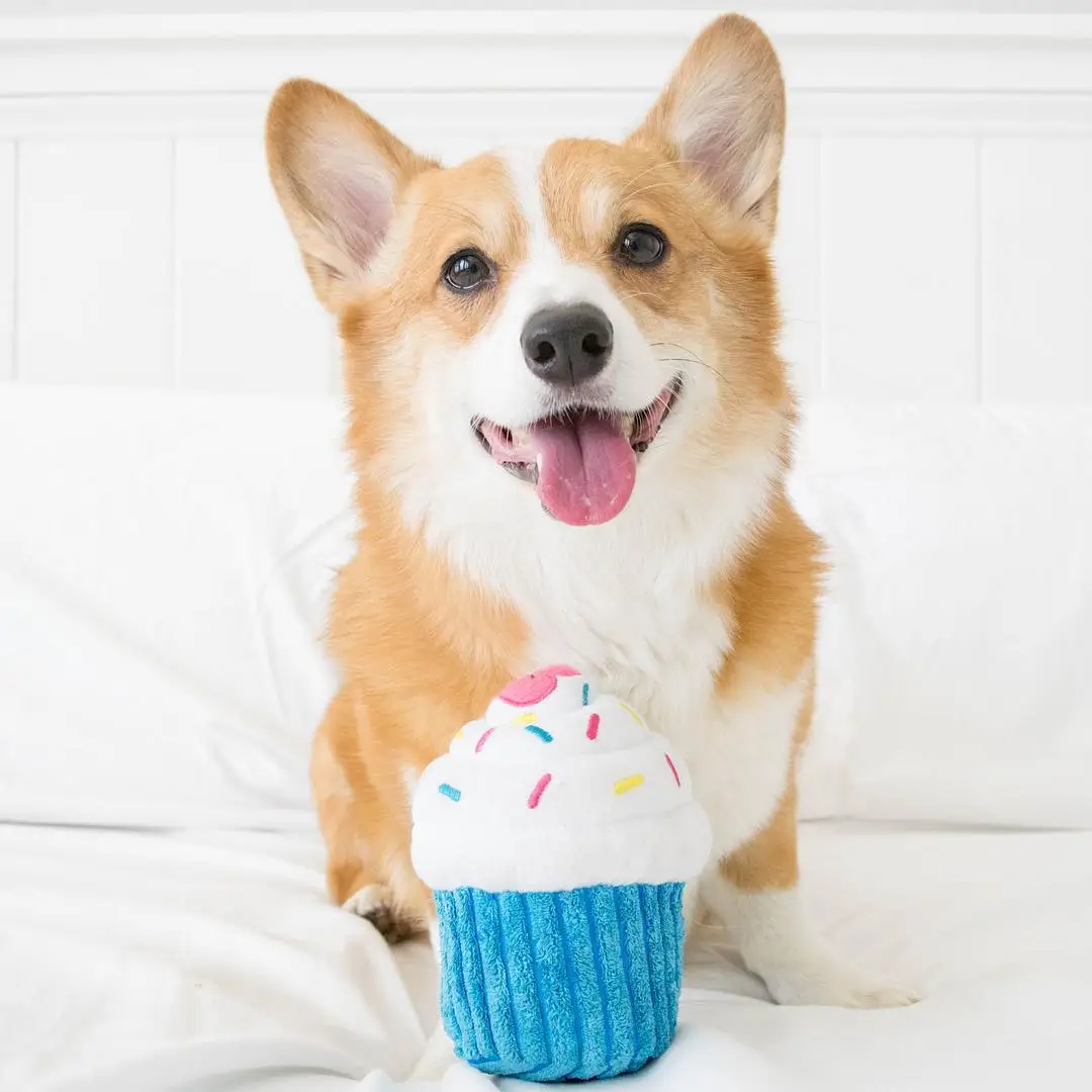 Cupcake-ZippyPaws2.png