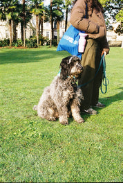 Tote bag Muzon bleu