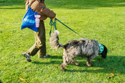 Bandana pour chien - Muzon
