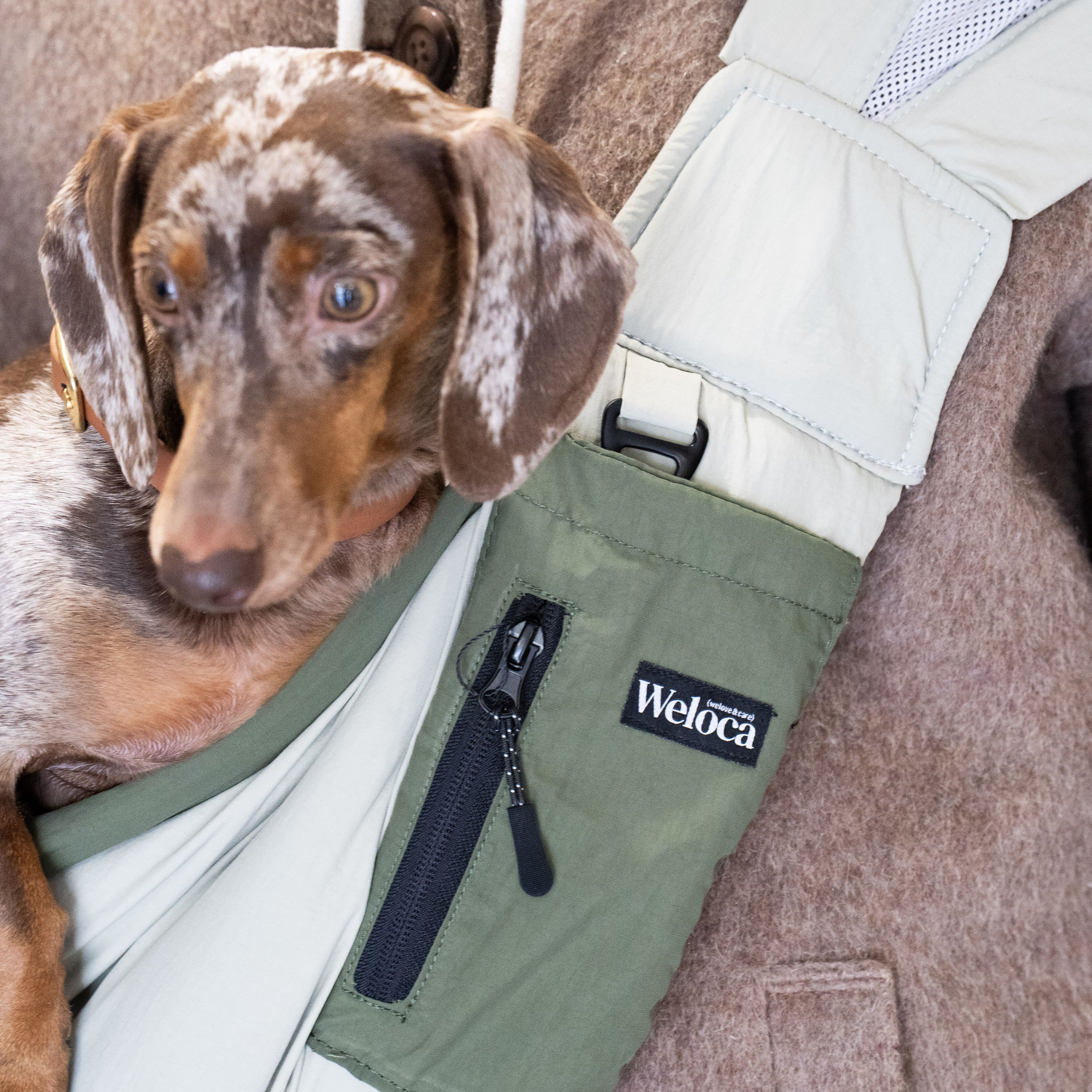 Sac de transport en bandoulière vert pour chien et chat Weloca