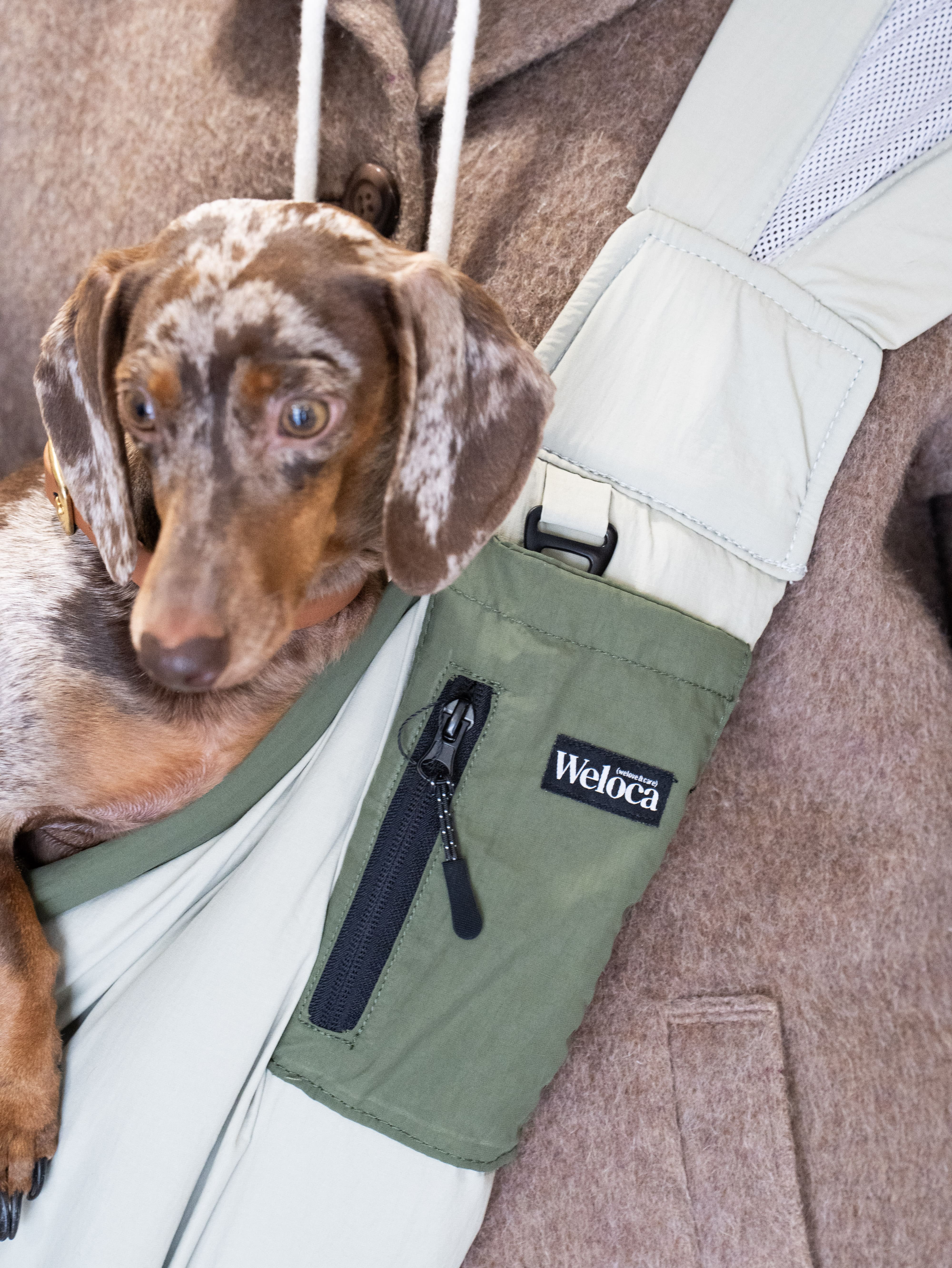 Sac de transport en bandoulière vert pour chien et chat Weloca