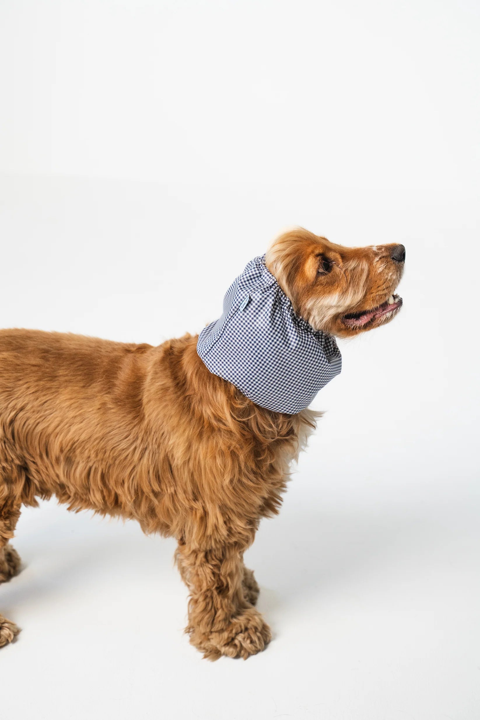 Snood imperméable - Vichy bleu