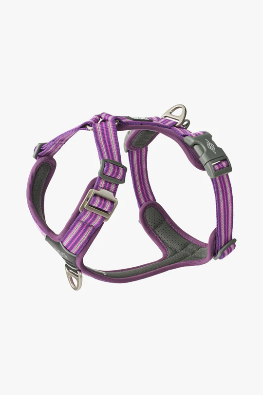 Comfort Walk Air™ Harness - Purple