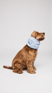 Snood – Summer Daisy