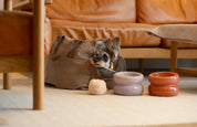Gamelle confortable mauve