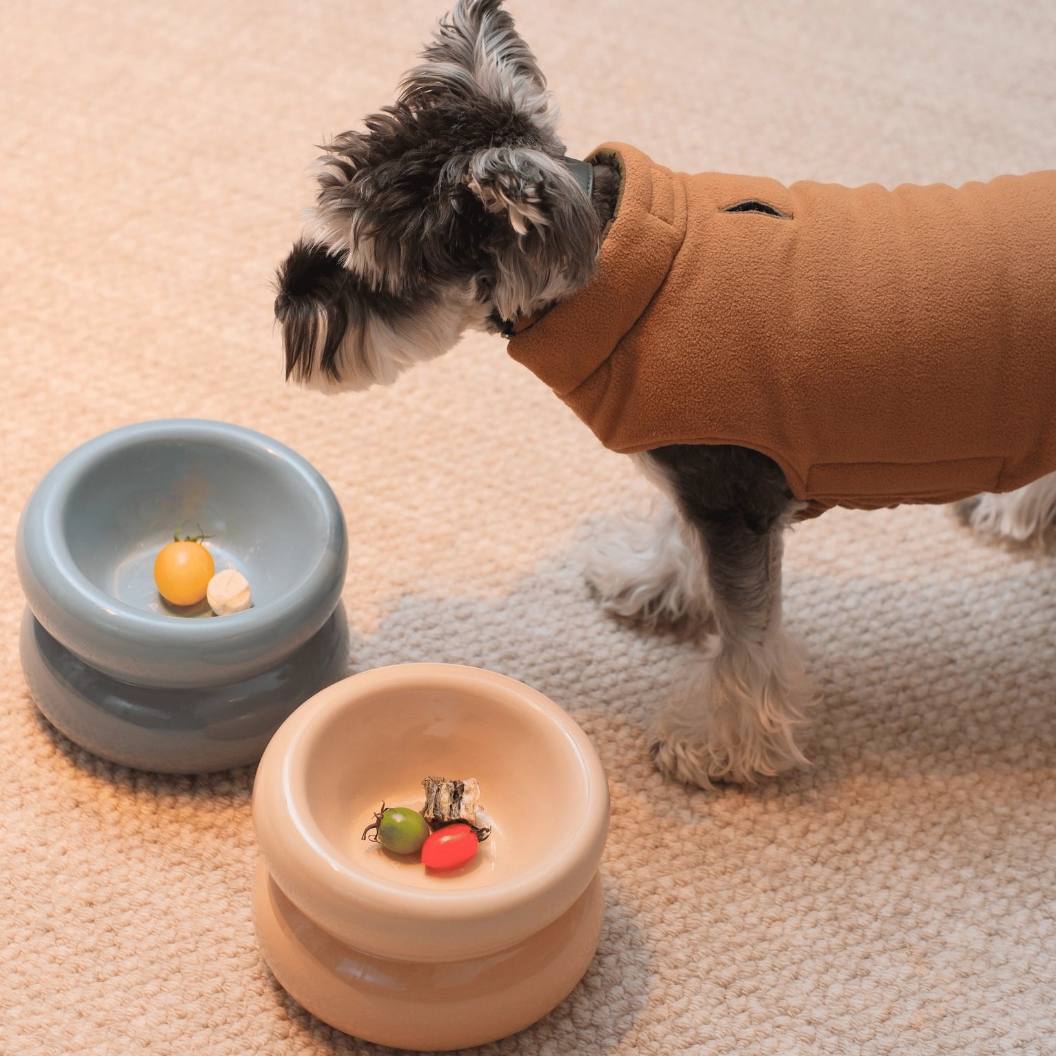 GamelleSoufflepourchiensetchatscreme4.webp