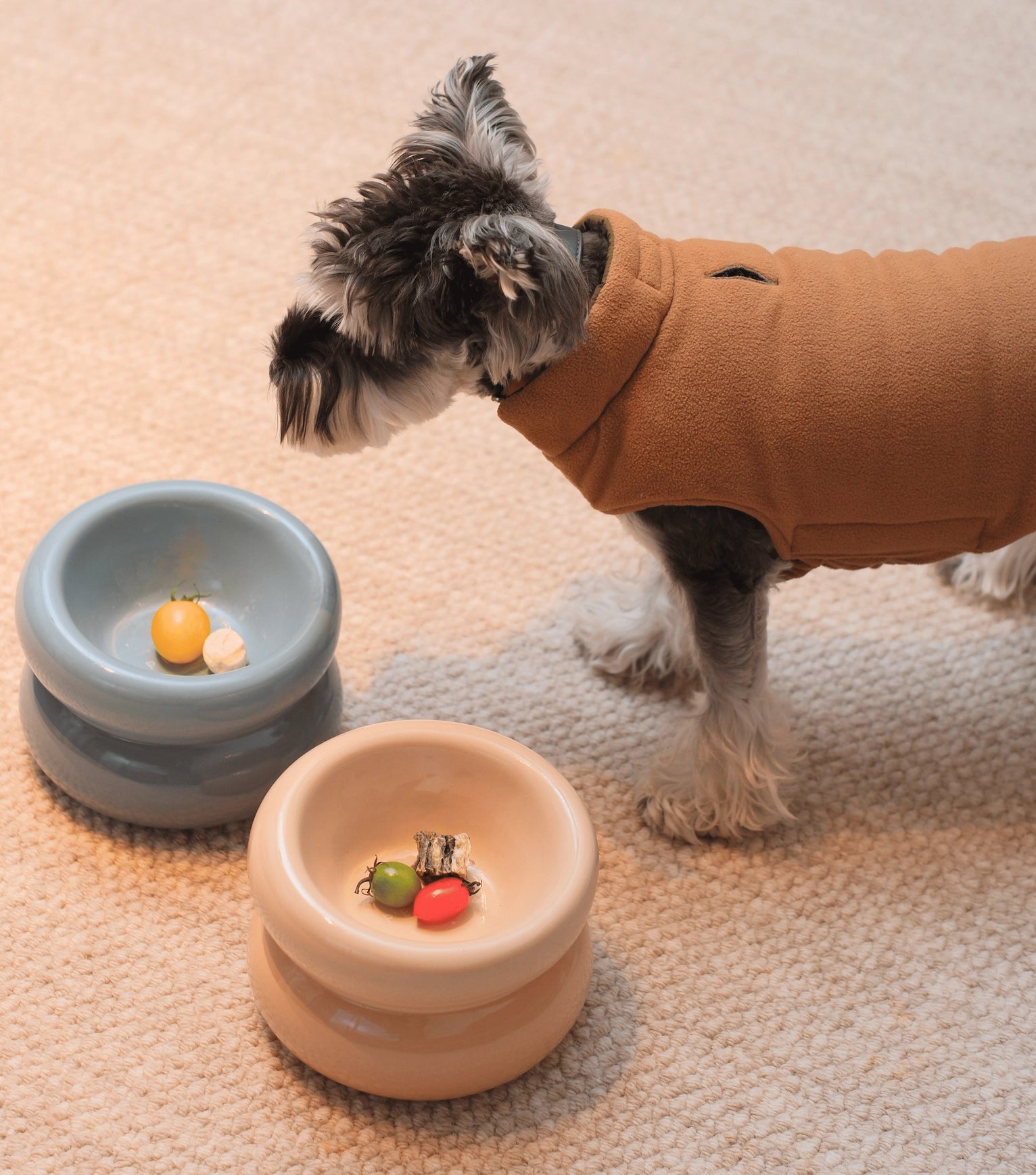 GamelleSoufflepourchiensetchatscreme4.webp