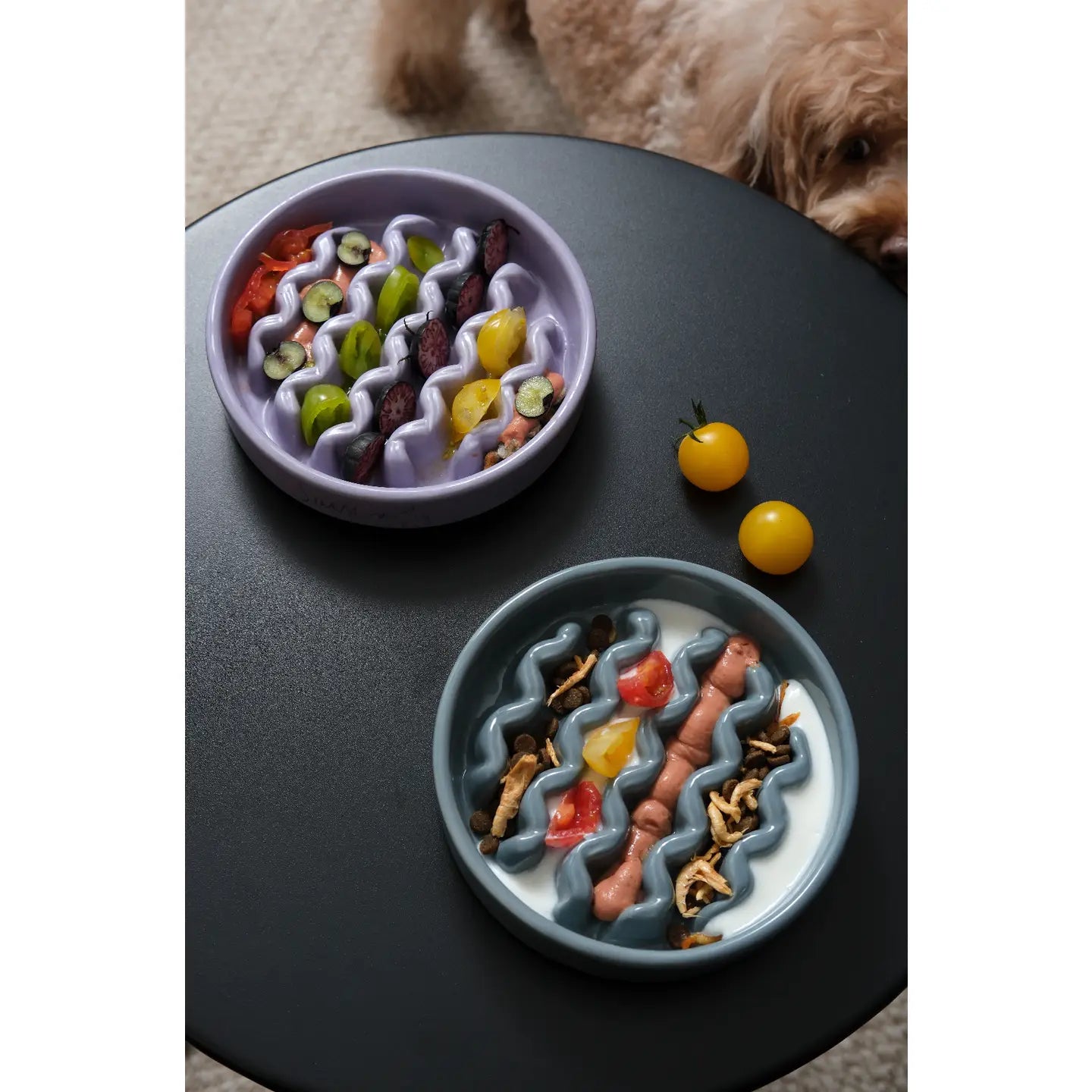 Gamelleanti-gloutonvioletPehom2_78058d82-7e64-4502-8c96-8ea48ad84811.webp