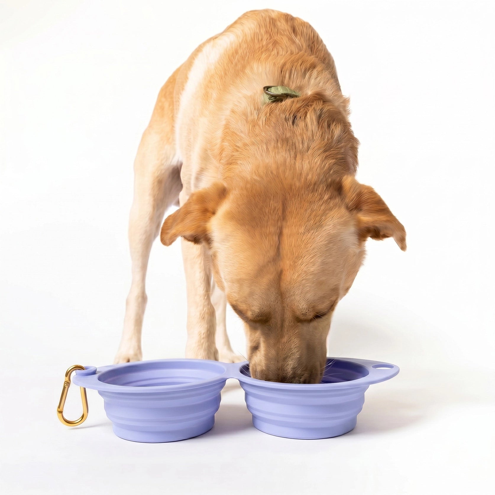 Gamelle de voyage pliable - Lavande