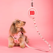 Gamelle pliable - Woof Woof