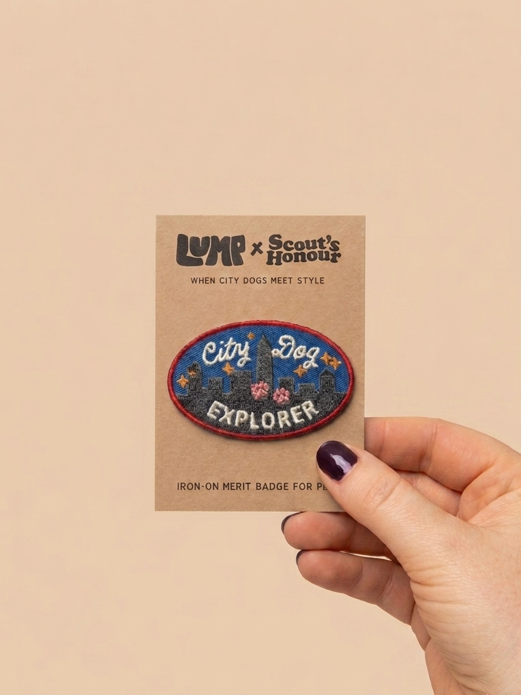 Iron-on dog patch "City dog explorer"