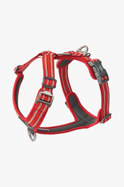 Comfort Walk Air™ Harness - Red