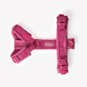 Harnais velours - Fuchsia