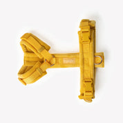 Harnais velours - Jaune