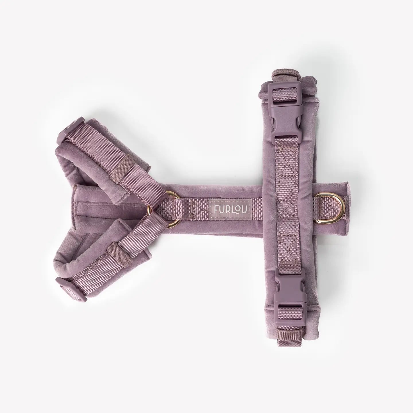 Harnais velours - Lilas