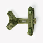 Harnais velours - Vert